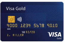 💳 Prepaid Visa Gold